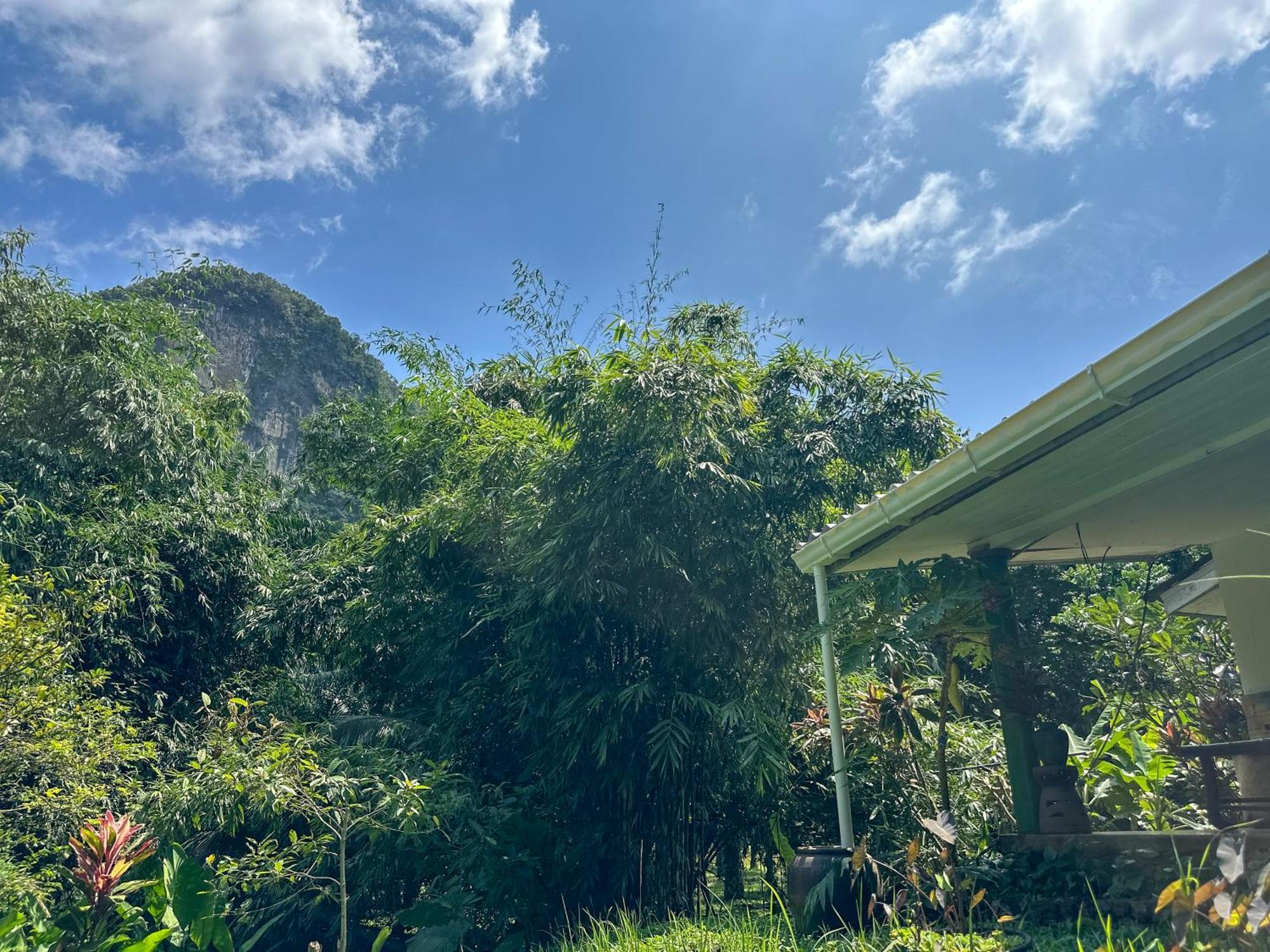 Baan Suanthip Homestay - Aoluek Natural Retreat Ao Luk Buitenkant foto